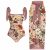 Lotus Root Starch Color Printing Series