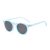 Sand transparent blue gray plate polarized C32